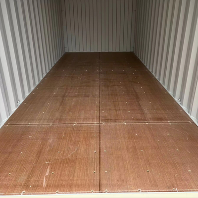 1 Way 1 Trip New 20/40 Foot Length ISO Standard Double Door High Cube Shipping Container Ningbo Shanghai Conex